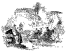 Click here for "Meet of the Harriers" (16 kB)