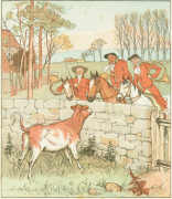 Bull-calf from "Jovial Huntsmen" (Routledge edition). Click to enlarge.